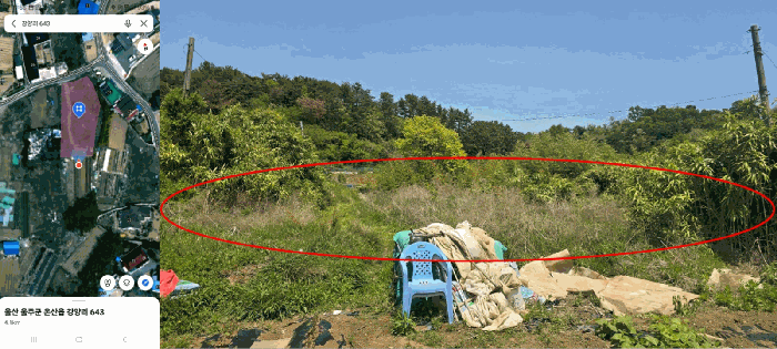 울산광역시 울주군 온산읍 강양리 643 대지 경매 사진 4