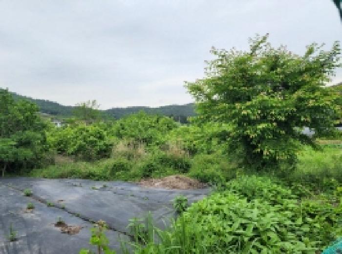 전라남도 여수시 소라면 현천리 759 전 경매 사진 2