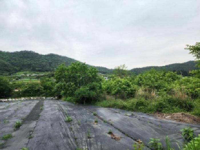 전라남도 여수시 소라면 현천리 759 전 경매 사진 3