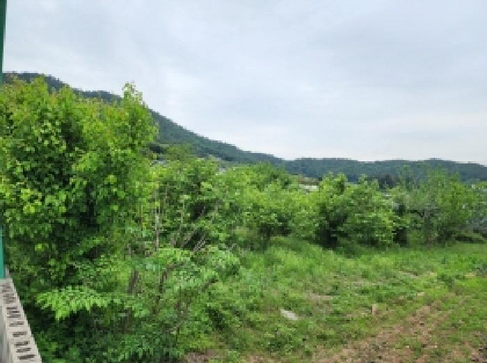 전라남도 여수시 소라면 현천리 759 전 경매 사진 4