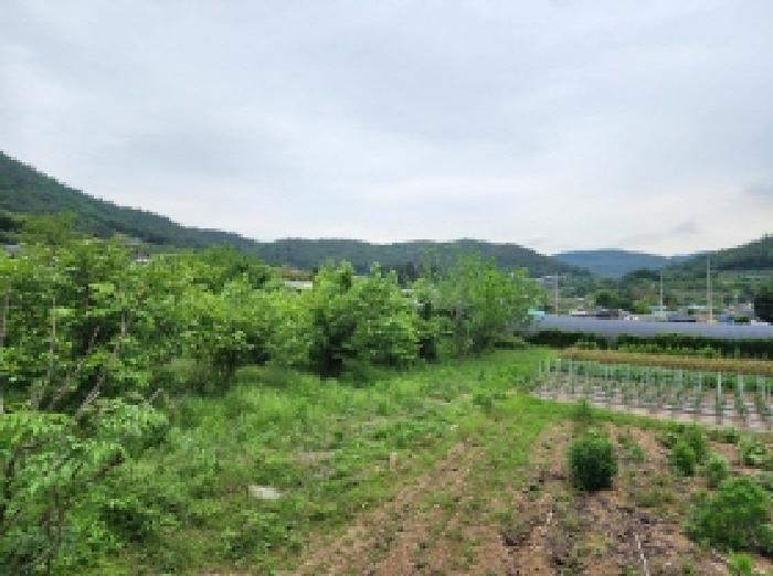 전라남도 여수시 소라면 현천리 759 전 경매 사진 5