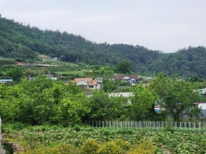 전라남도 여수시 소라면 현천리 759 전 경매 사진 6
