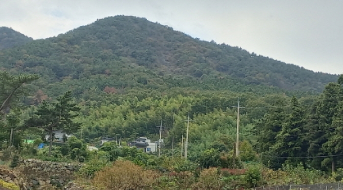 경상남도 거제시 거제면 옥산리 산58-14 임야 경매 사진 2