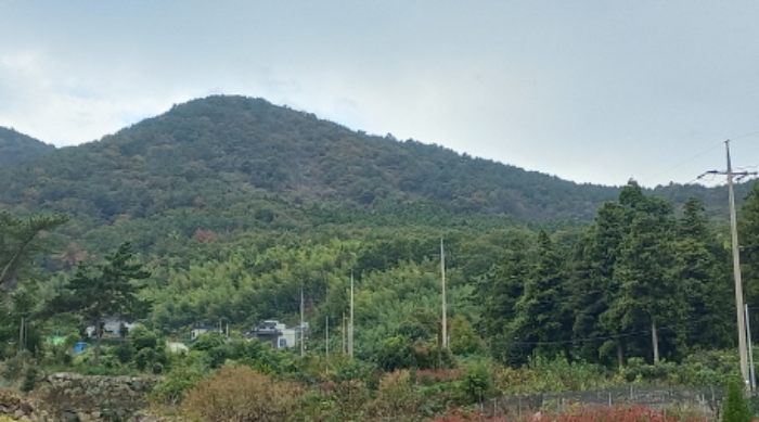 경상남도 거제시 거제면 옥산리 산58-14 임야 경매 사진 3