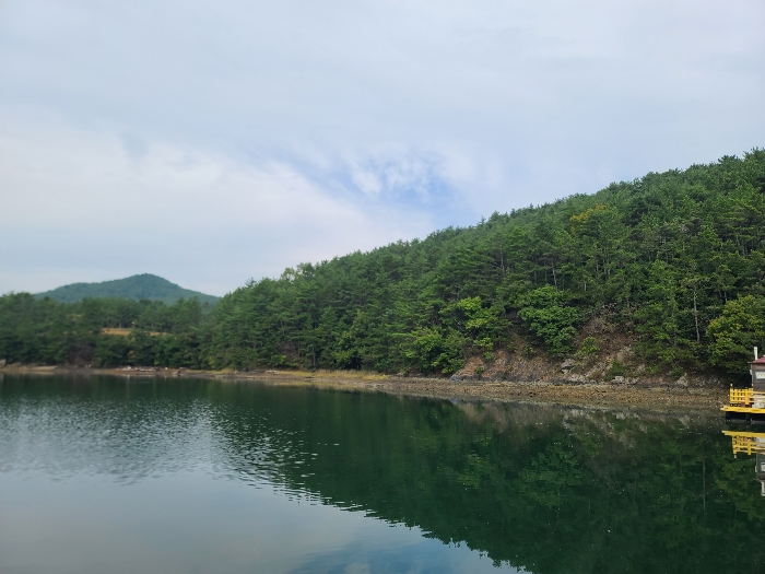 경상남도 거제시 거제면 법동리 산157-6 임야 경매 사진 5