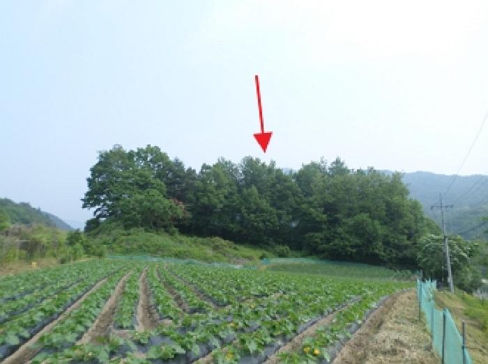 강원특별자치도 횡성군 공근면 어둔리 산86 임야 경매 사진 8