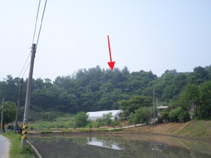 강원특별자치도 횡성군 공근면 어둔리 산86 임야 경매 사진 9