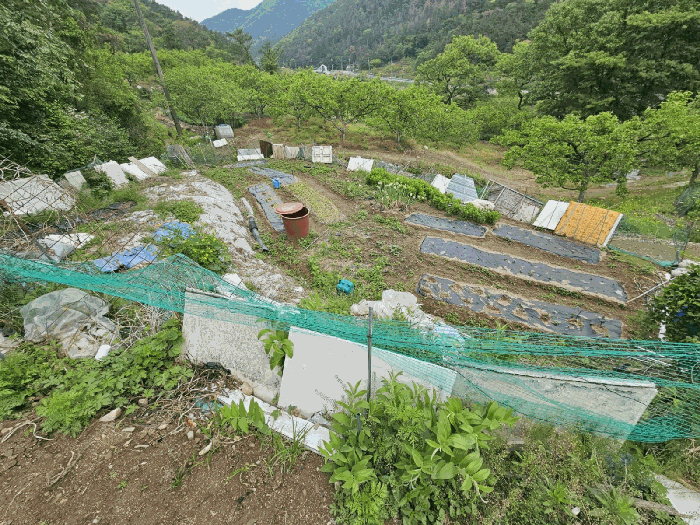 경상북도 청도군 매전면 동산리 653 전 경매 사진 18