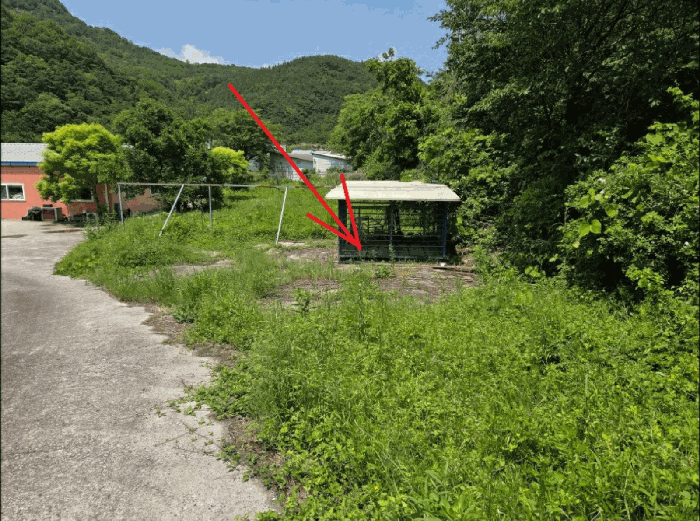 경상북도 청도군 금천면 소천리 597 외 4필지 공장 경매 사진 17