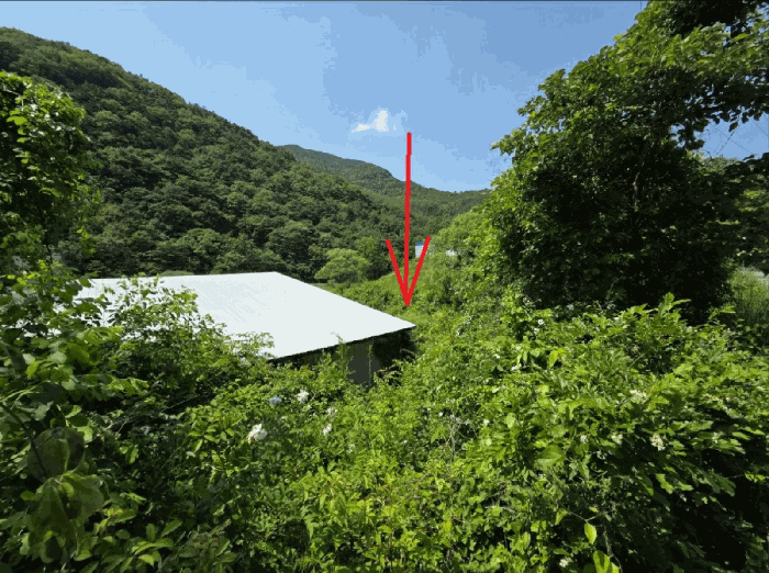 경상북도 청도군 금천면 소천리 597 외 4필지 공장 경매 사진 19
