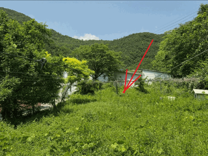경상북도 청도군 금천면 소천리 597 외 4필지 공장 경매 사진 31