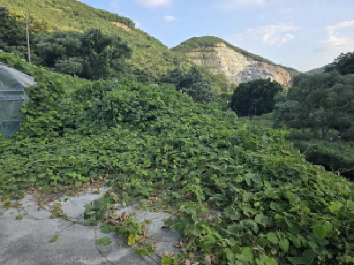 경상북도 청도군 금천면 소천리 597 외 4필지 공장 경매 사진 8