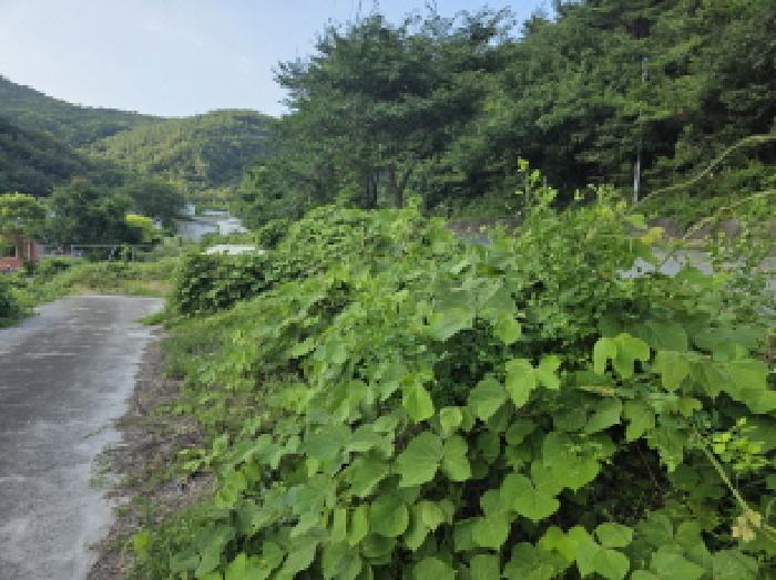 경상북도 청도군 금천면 소천리 597 외 4필지 공장 경매 사진 9