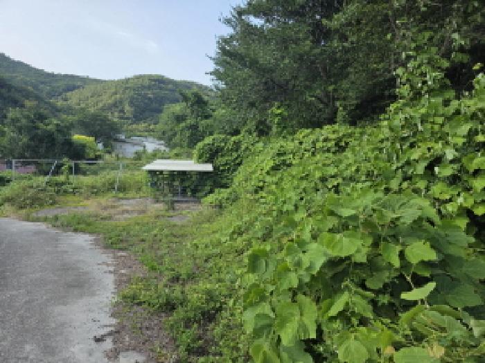 경상북도 청도군 금천면 소천리 597 외 4필지 공장 경매 사진 10