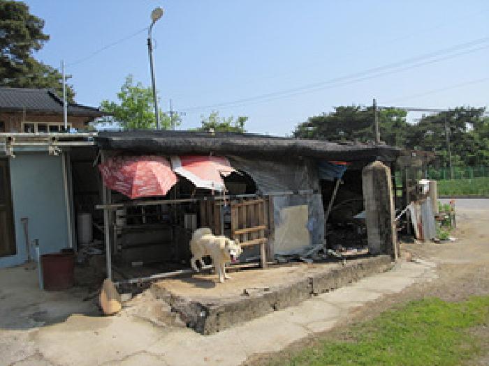 경상북도 예천군 풍양면 우망리 478 대지 경매 사진 14