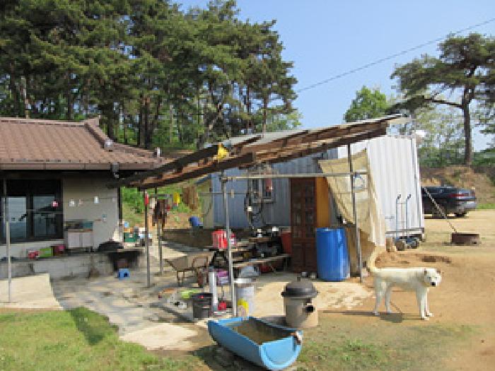 경상북도 예천군 풍양면 우망리 478 대지 경매 사진 3
