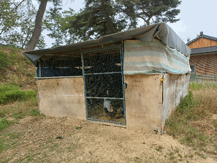 경상북도 예천군 풍양면 우망리 478 대지 경매 사진 24