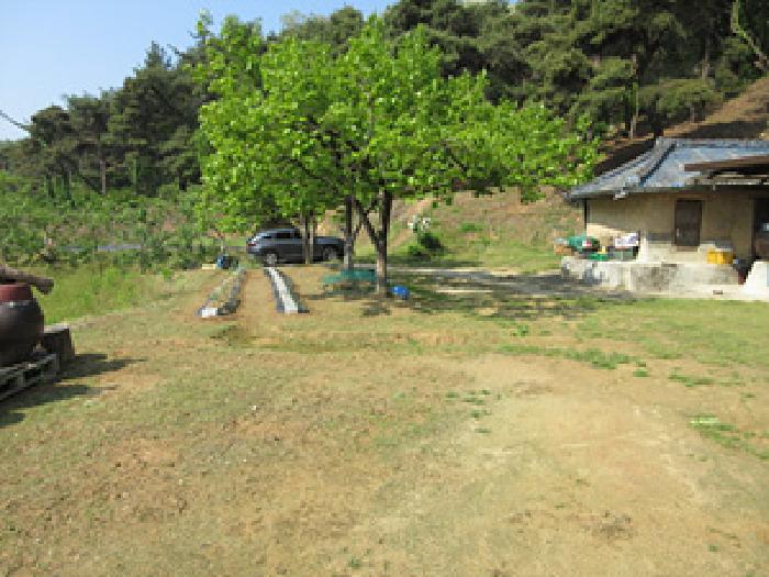 경상북도 예천군 풍양면 우망리 478 대지 경매 사진 4