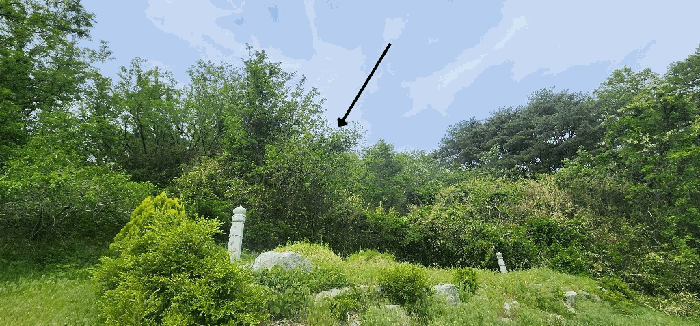 경상북도 울진군 온정면 온정리 384 외 1필지 전 경매 사진 3