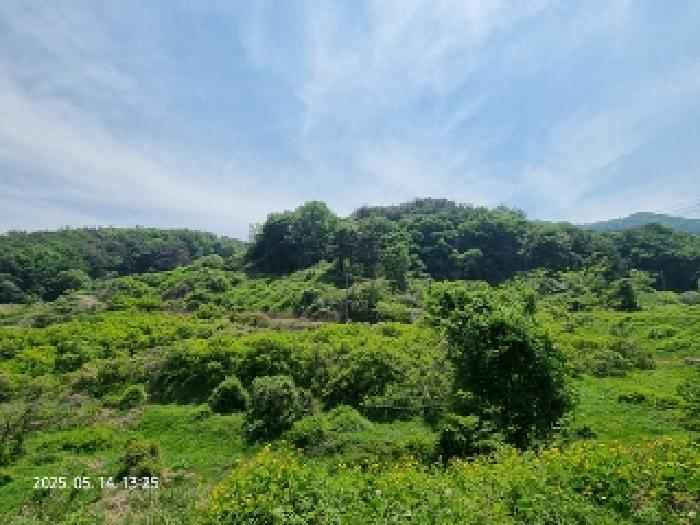 경상남도 창원시 의창구 북면 내곡리 산199-4 임야 경매 사진 8