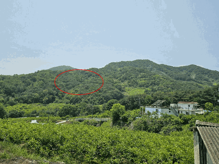 경상남도 창원시 의창구 북면 내곡리 산199-4 임야 경매 사진 11