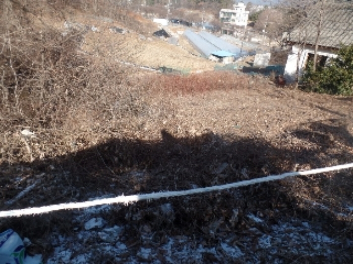 충청남도 계룡시 금암동 288-3 전 경매 사진 2