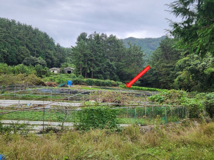 경상남도 통영시 도산면 오륜리 515 답 경매 사진 3