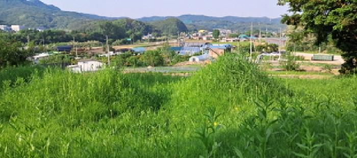 경기도 파주시 광탄면 창만리 198 전 경매 사진 21