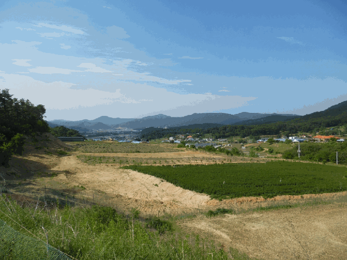 충청북도 청주시 상당구 가덕면 수곡리 산52-5 외 3필지 임야 경매 사진 12
