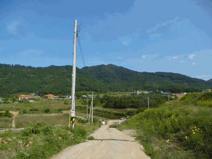 충청북도 청주시 상당구 가덕면 수곡리 산52-5 외 3필지 임야 경매 사진 15