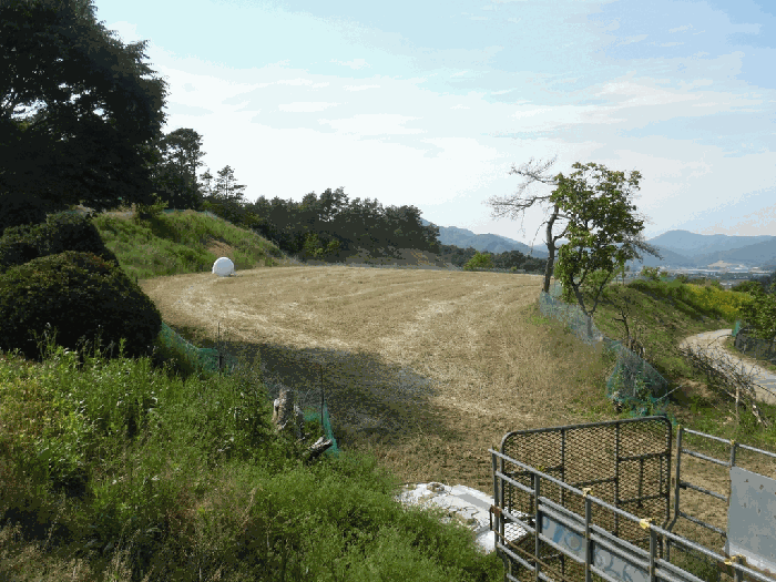 충청북도 청주시 상당구 가덕면 수곡리 산52-5 외 3필지 임야 경매 사진 17