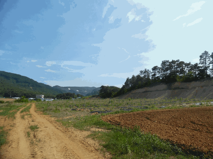 충청북도 청주시 상당구 가덕면 수곡리 산52-5 외 3필지 임야 경매 사진 18