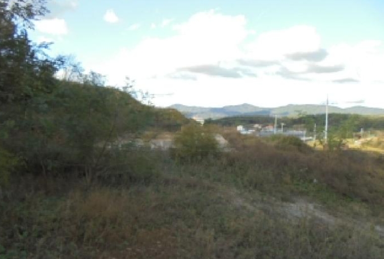 충청북도 청주시 상당구 가덕면 수곡리 산52-5 외 3필지 임야 경매 사진 4