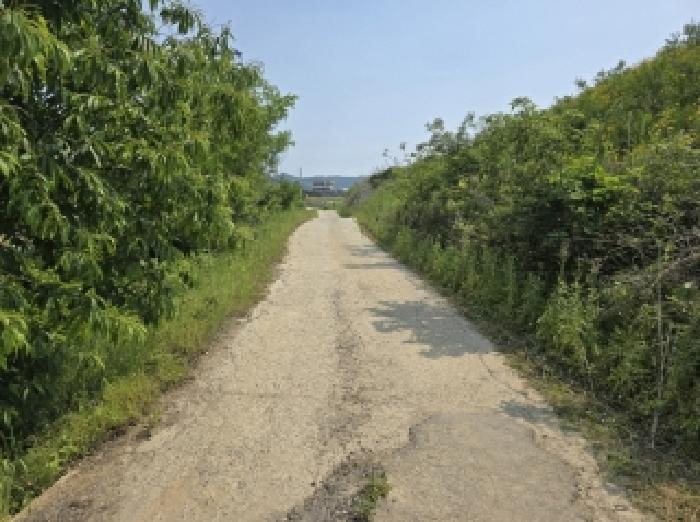 충청북도 청주시 상당구 가덕면 수곡리 산52-5 외 3필지 임야 경매 사진 6
