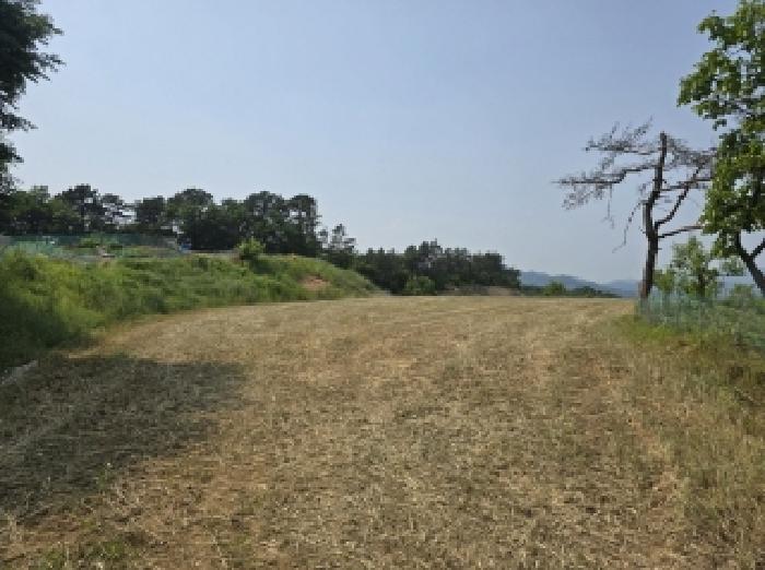 충청북도 청주시 상당구 가덕면 수곡리 산52-5 외 3필지 임야 경매 사진 7
