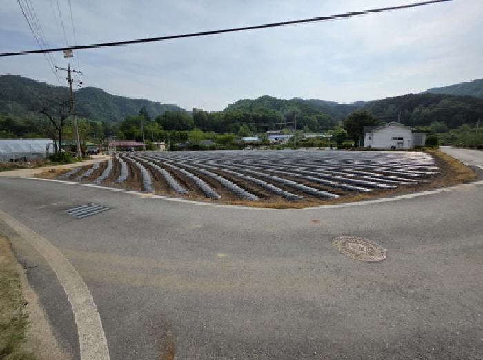충청북도 제천시 금성면 사곡리 286 전 경매 사진 14