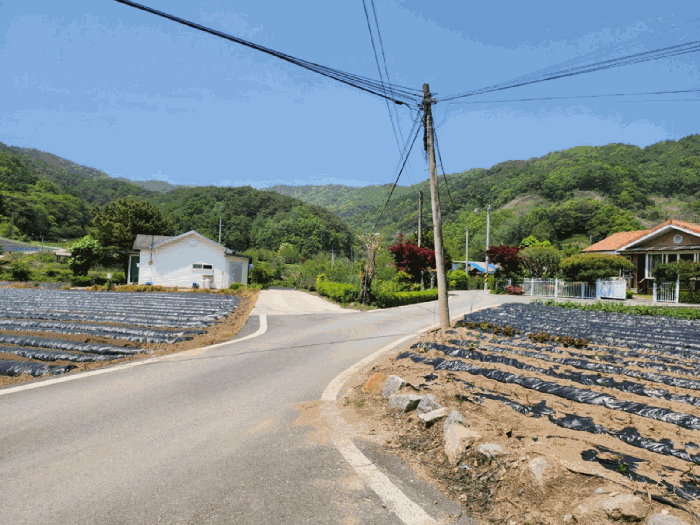 충청북도 제천시 금성면 사곡리 286 전 경매 사진 18
