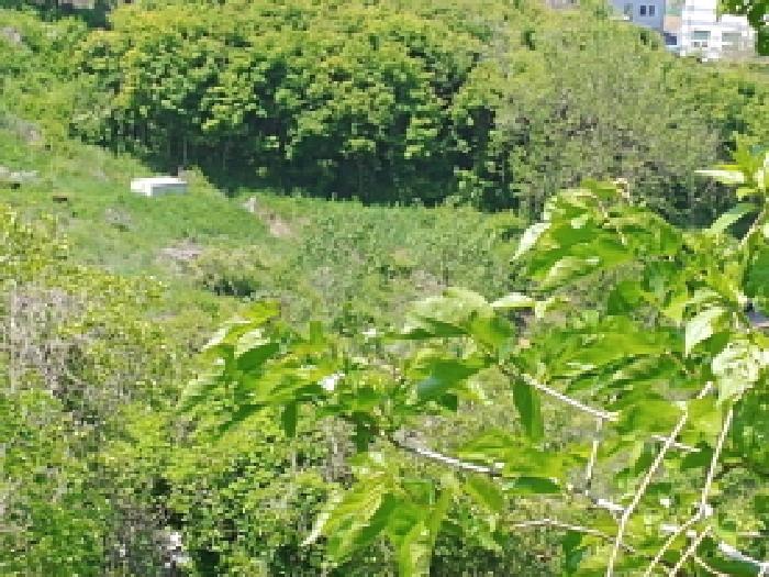 충청남도 금산군 복수면 수영리 1-2 전 경매 사진 2
