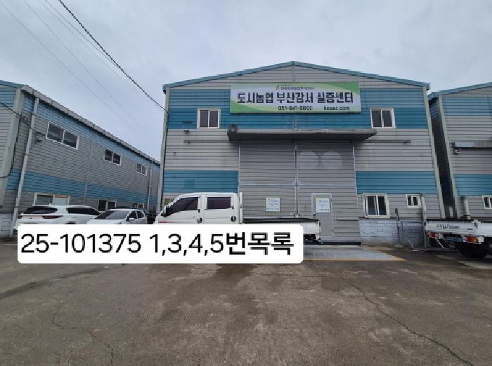 부산광역시 강서구 대저2동 4902 외 3필지 공장 경매 사진 3