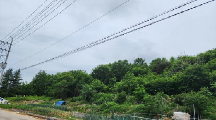 울산광역시 울주군 상북면 지내리 산73-5 임야 경매 사진 20