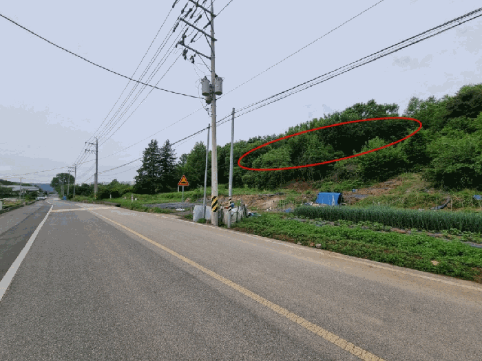 울산광역시 울주군 상북면 지내리 산73-5 임야 경매 사진 21