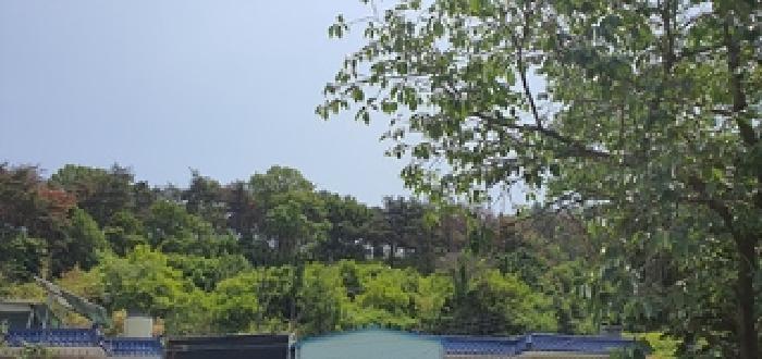 경상남도 김해시 생림면 마사리 554 외 2필지 전 경매 사진 6