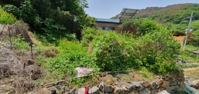 경상남도 김해시 생림면 마사리 554 외 2필지 전 경매 사진 8