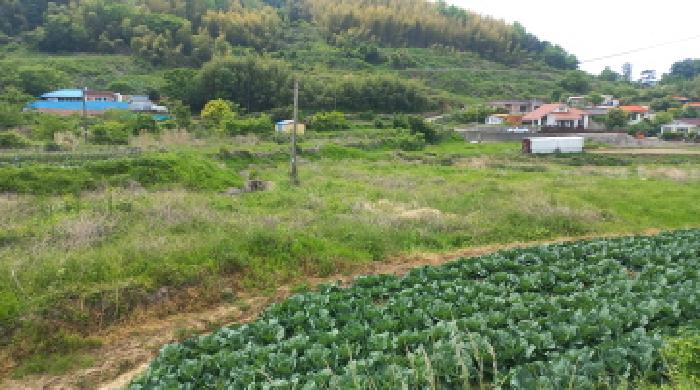 경상남도 거제시 하청면 대곡리 611-3 답 경매 사진 3