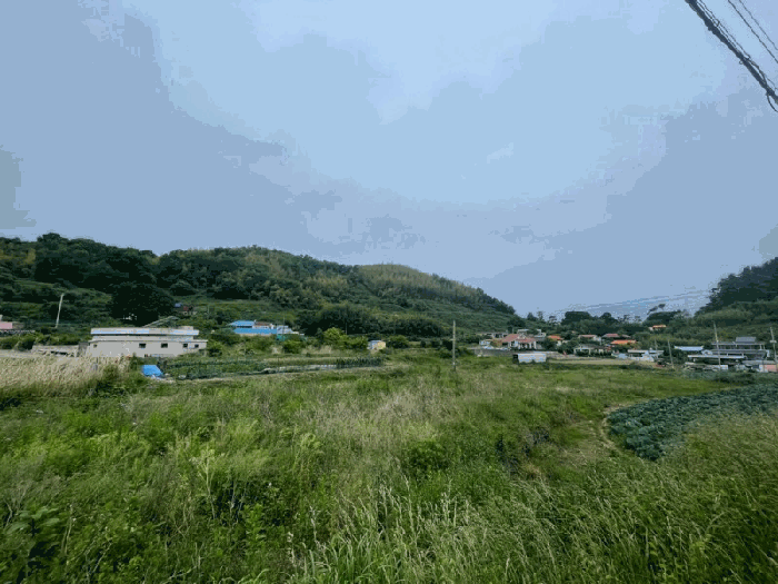 경상남도 거제시 하청면 대곡리 611-3 답 경매 사진 7