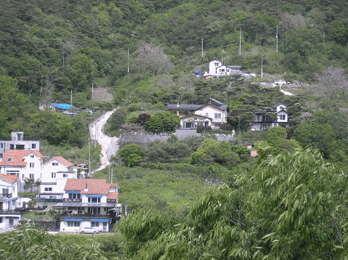전라남도 화순군 동면 서성리 198-25 외 1필지 전 경매 사진 8
