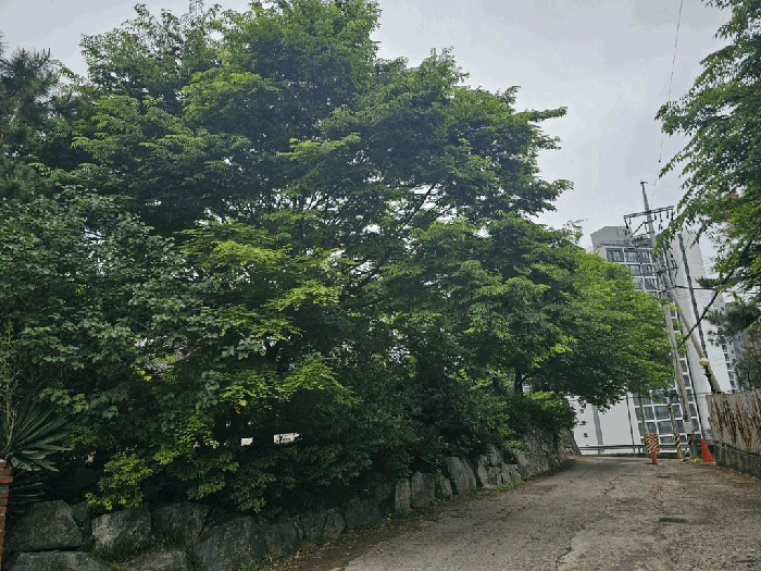 광주광역시 남구 월산동 295-1 외 3필지 전 경매 사진 20