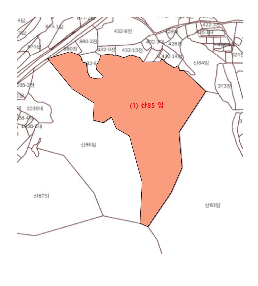 강원특별자치도 원주시 부론면 흥호리 산85 임야 경매 사진 17