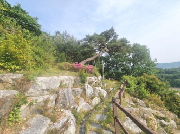세종특별자치시 금남면 원봉리 575-20 외 2필지 단독주택 경매 사진 11