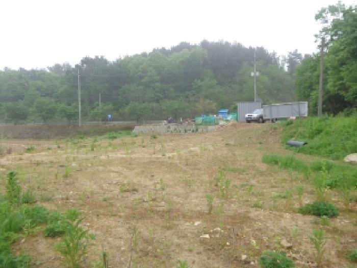 충청남도 태안군 태안읍 산후리 343-9 외 3필지 임야 경매 사진 7